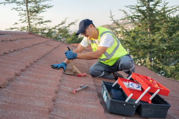 Best Roof Gutter Cleaning  in Clinton, OK